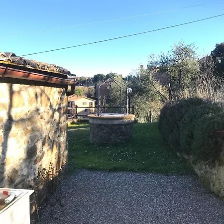Elisabetta *